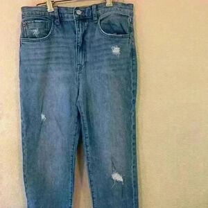 Hudson Kass high rise distressed straight leg jean